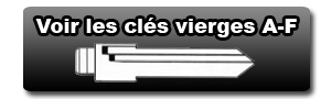 Clés vierges pour télécommande A-F