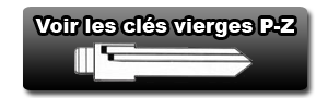 Clés vierges pour télécommande P-Z